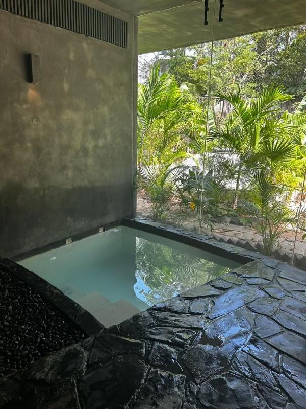 5 Star Luxury With Infinity And Cenote Pools Apartment Tulum